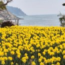 디스커버리풀빌라B 이미지