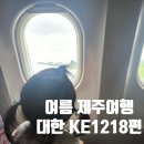 1218 | 16개월아기,4살 아기랑 여름 제주 3박4일여행 KE1218편 탑승후기