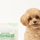 건 덴탈 이미지