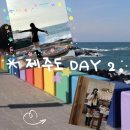 노을책방 | 홀로 뚜벅이 9박10일 제주도 힐링 겨울여행🍊 - 2일차 애월 먹돌 무드제주 노을 게스트하우스 애월책방이다