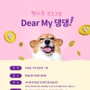 디어댕댕 이미지