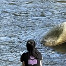 똑순이하우스 이미지