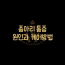 테리스짐 이미지