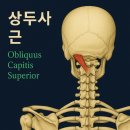 아나파짐앤랩 네이버블로그