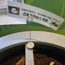 자연생태공원 나비표본전시관1층 | 상주 아이들과 가볼만한 자연 생태 명소 경상북도곤충생태전시관