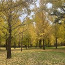 숲속 한옥 펜션 이미지