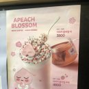 이디야커피 덕정역점
