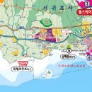 서호동-46 Daum카페