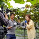 예밀촌길 이미지