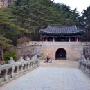 강따라산따라 티스토리