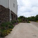 오색귤민박체험농장 이미지