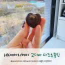 에이치케이마스터