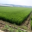 본당리마을회관 이미지