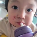 코스모스민박 이미지