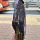 세븐일레븐 수원점 네이버블로그