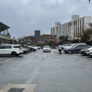 금잔디 | [광주 도산동] 부모님과 가기 좋은 보리밥 맛집 &#39;옛날에 금잔디&#39; 내돈내산 후기