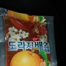 변동청과 이미지