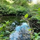 궷물오름 이미지