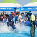 2025 울산조선해양축제 완벽 준비 가이드, 작년 경험자가 알려주는 꿀팁