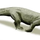 바라누스