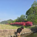 빨래터캠핑장 이미지