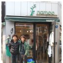 나무숙녀복