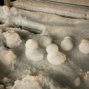 우다다(WOODADA) 이미지