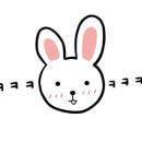 동이보쌈