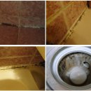 [곰팡이제거방법] 깔끔한 욕실만들기~ 욕실곰팡이청소 이미지