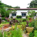 향림오토캠핑장 이미지