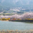 승월경로당 이미지