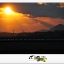 반도흑염소 농장 이미지