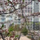 괴정인형뽑기 이미지