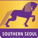 분당승마클럽 이미지