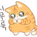 닥터한일 이미지