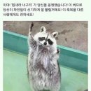 워너블리