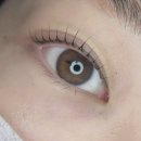 GS25포항창포주공점 | (포항) 속눈썹 바짝 잘 올려주는 &#39;뷰티쁨쁨&#39; 다녀온 후기