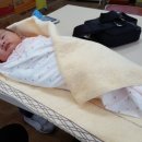 세한자원 이미지