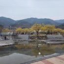 시목공원 이미지