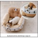 펫 파라다이스(pet paradise) | 스누피 드라이브 베드 🚗 Pet Paradise 차량용 강아지 캐리박스 M·L 사이즈 선택형