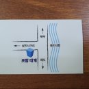 포항수협중매인39