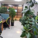 중앙서초프라자 이미지