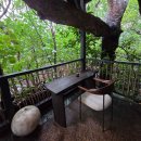 동심(童心)2 이미지