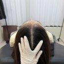 예부띠끄