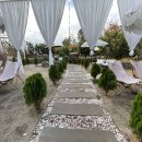 너와제주 이미지