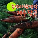 김형표농장 네이버블로그