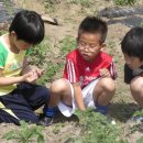 송촌1리 이미지