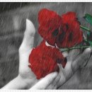 명상과 호흡..마음은 대뇌피질에 있다 ? 이미지