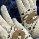 멜론버스(주) | [일본 3박 4일] 11월 삿포로 비에이 투어 / 여행한그릇 투어 후기(이혜인 가이드님)