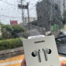 주)스마트전자 | [내돈내산 리뷰] 삼성전자 갤럭시 버즈3 FE 무선 블루투스 이어폰, 2주간의 솔직 실사용 후기!